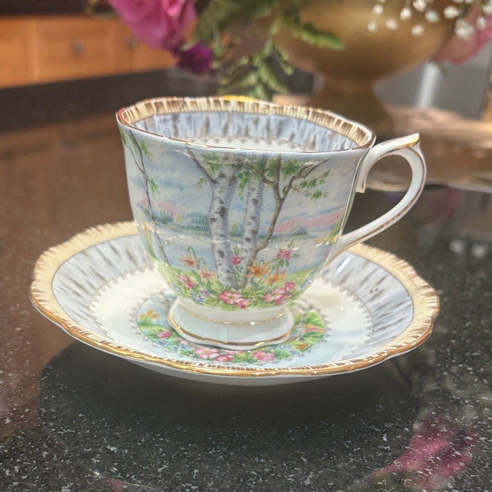 Vintage Royal Albert Floral Silver Birch Bone China Cup & Saucer with Gold Trim